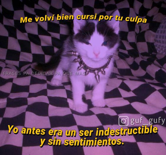 una pequeña cartita sis